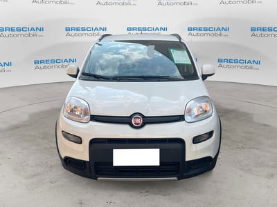 Fiat Panda 1.0 FireFly S&S Hybrid City Cross usata