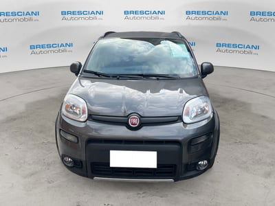 Fiat Panda 1.0 FireFly S&S Hybrid City Cross usata