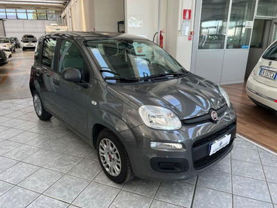 Fiat Panda 1.0 firefly hybrid s&s 70cv 5p.ti usata