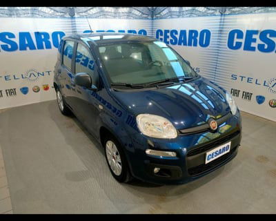 Fiat Panda 1.2 Easy usata