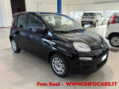 Fiat Panda 1.0 firefly hybrid s&s 70cv 5p.ti usata