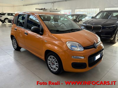 Fiat Panda 1.0 firefly hybrid s&s 70cv 5p.ti usata