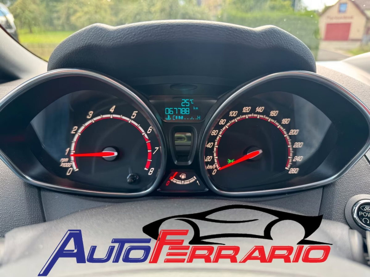 Ford Fiesta 1.6 182CV 3 porte ST (14)