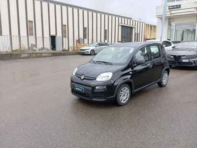 Fiat Panda 1.0 firefly hybrid s&s 70cv 5p.ti usata