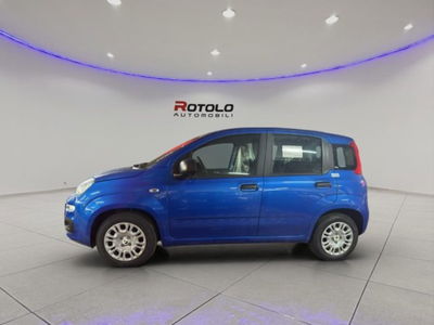 Fiat Panda 1.0 firefly hybrid s&s 70cv 5p.ti nuova