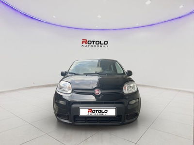 Fiat Panda 1.0 firefly hybrid s&s 70cv 5p.ti nuova