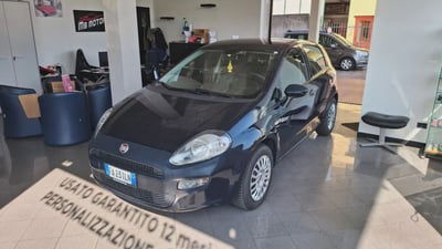 Fiat Punto 1.2 8V 5 porte Street usata