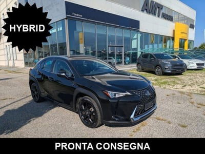 Lexus UX Full Electric Premium usata