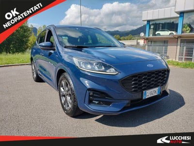 Ford Kuga 1.5 EcoBlue 120 CV 2WD ST-Line usata