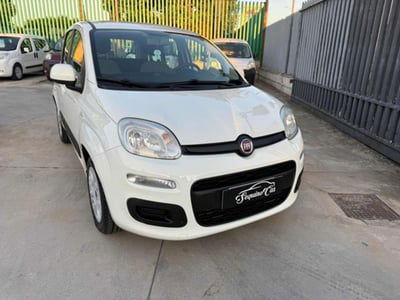 Fiat Panda 1.2 EasyPower Easy usata