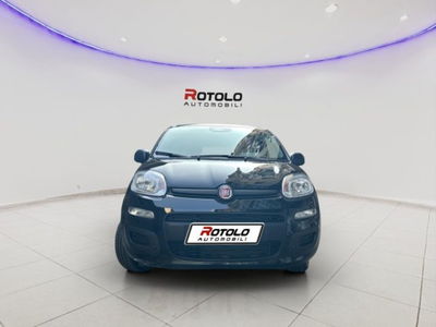 Fiat Panda 1.0 FireFly S&S Hybrid City Cross nuova