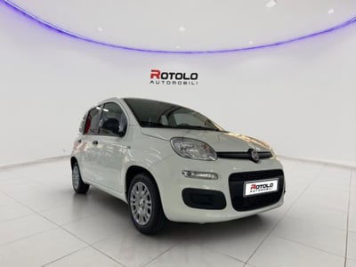 Fiat Panda 1.0 FireFly S&S Hybrid City Cross nuova