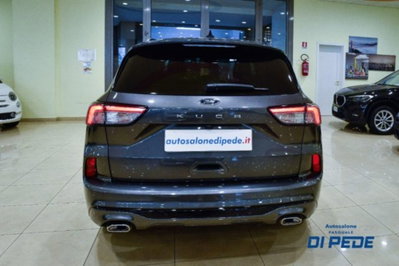 Ford Kuga 1.5 EcoBlue 120 CV 2WD ST-Line (4)