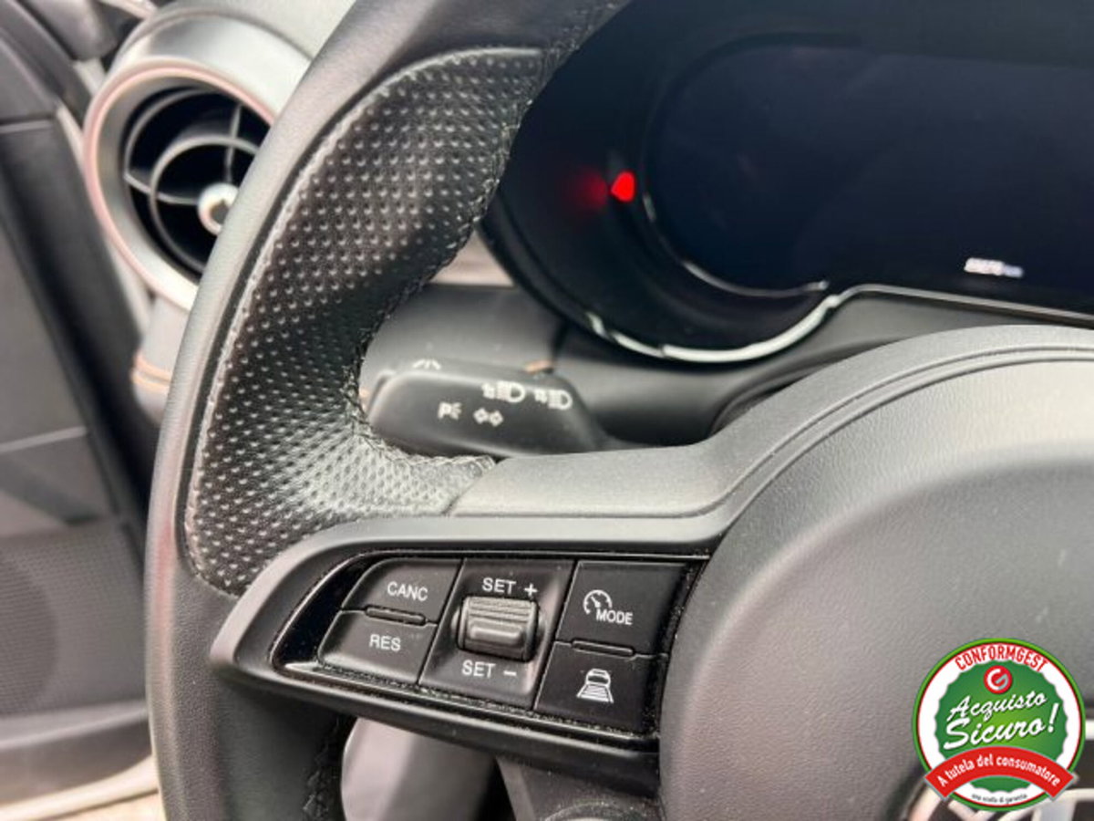 Alfa Romeo Tonale Tonale 1.6 diesel 130 CV TCT6 Ti (14)