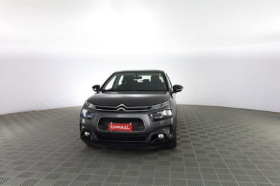 Citroen C4 Cactus PureTech 110 S&S Shine usata