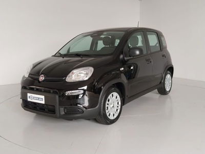 Fiat Panda 1.0 firefly hybrid s&s 70cv 5p.ti nuova