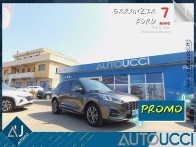 Ford Kuga 1.5 EcoBlue 120 CV aut. 2WD usata