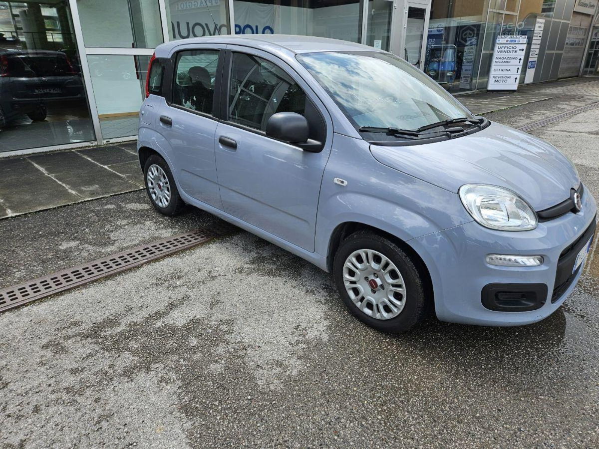 Fiat Panda Cross Cross 1.0 FireFly S&S Hybrid (4)