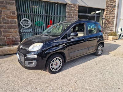 Fiat Panda 1.2 Easy usata