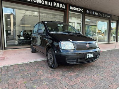 Fiat Panda 1.2 Dynamic usata