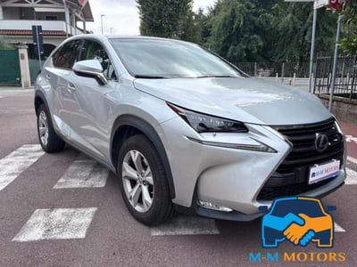 Lexus NX Hybrid 4WD Luxury usata