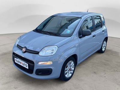 Fiat Panda 1.0 FireFly S&S Hybrid Easy usata