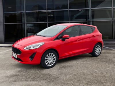 Ford Fiesta 1.1 75 CV GPL 5 porte usata