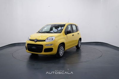 Fiat Panda 1.0 firefly hybrid s&s 70cv 5p.ti nuova