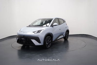 Byd Dolphin Surf 30 kWh Active nuova