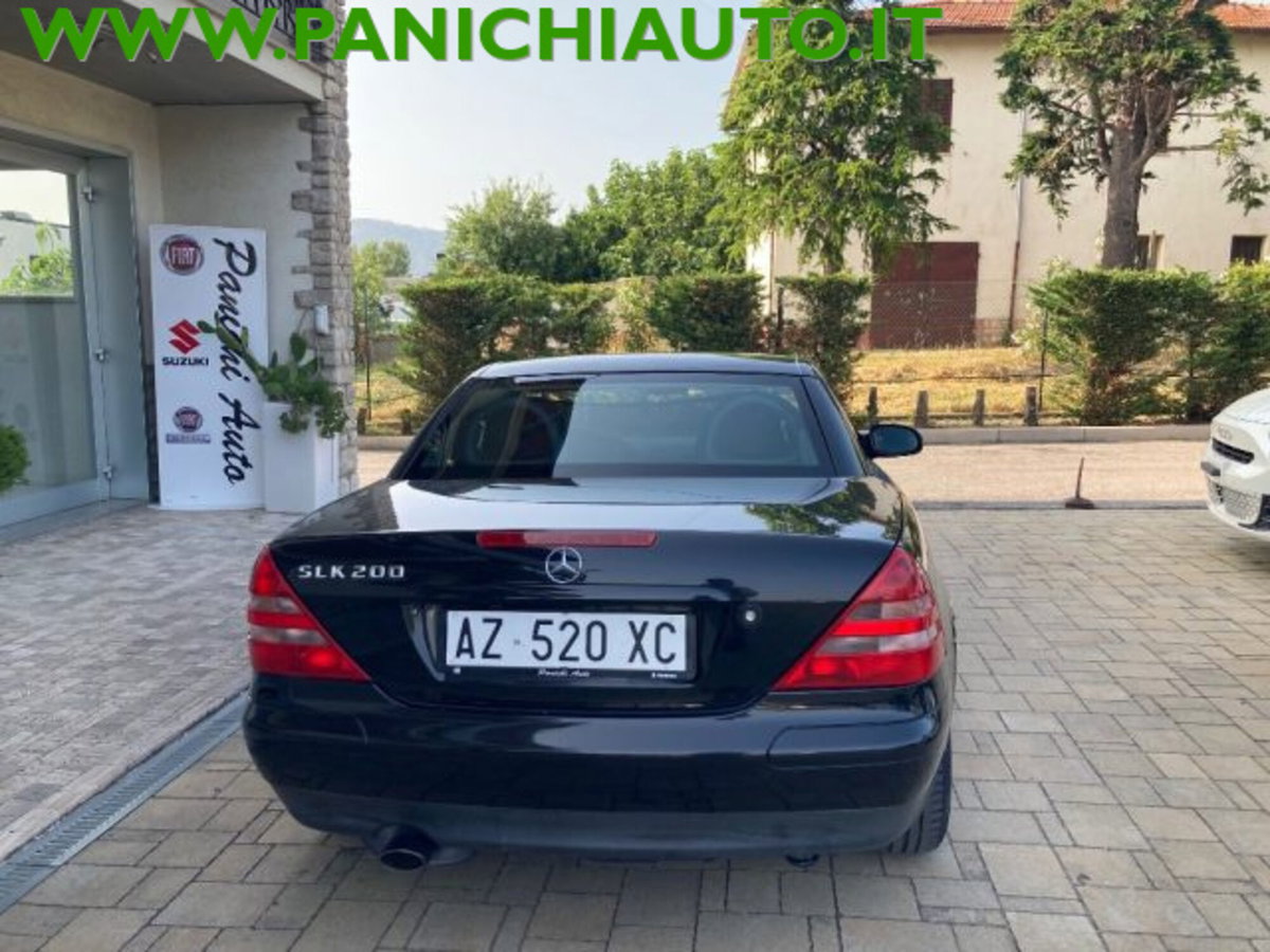 Mercedes-Benz SLK 200 cat (6)