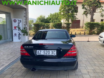 Mercedes-Benz SLK 200 cat (6)