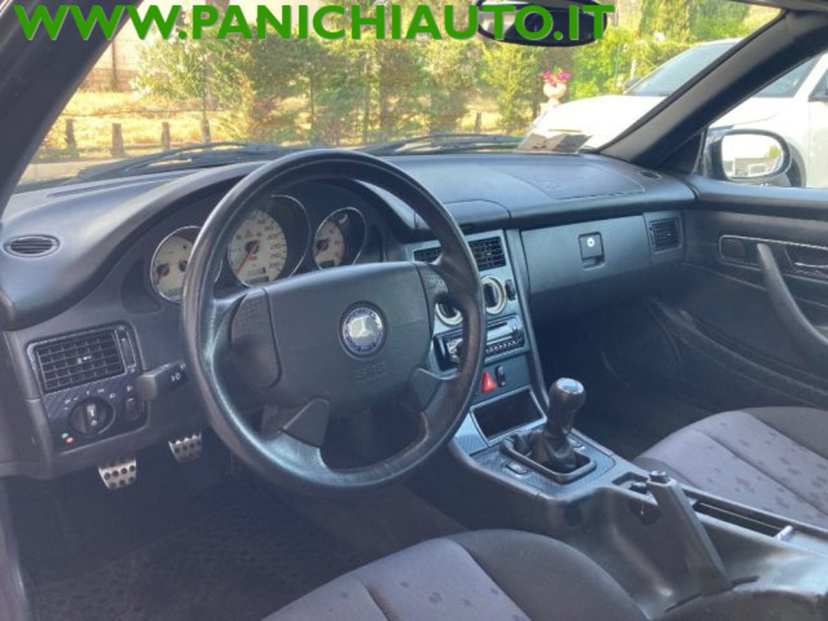 Mercedes-Benz SLK 200 cat (9)