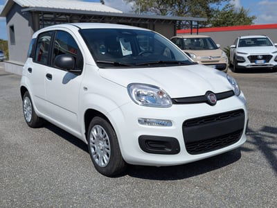 Fiat Panda 1.0 FireFly S&S Hybrid nuova