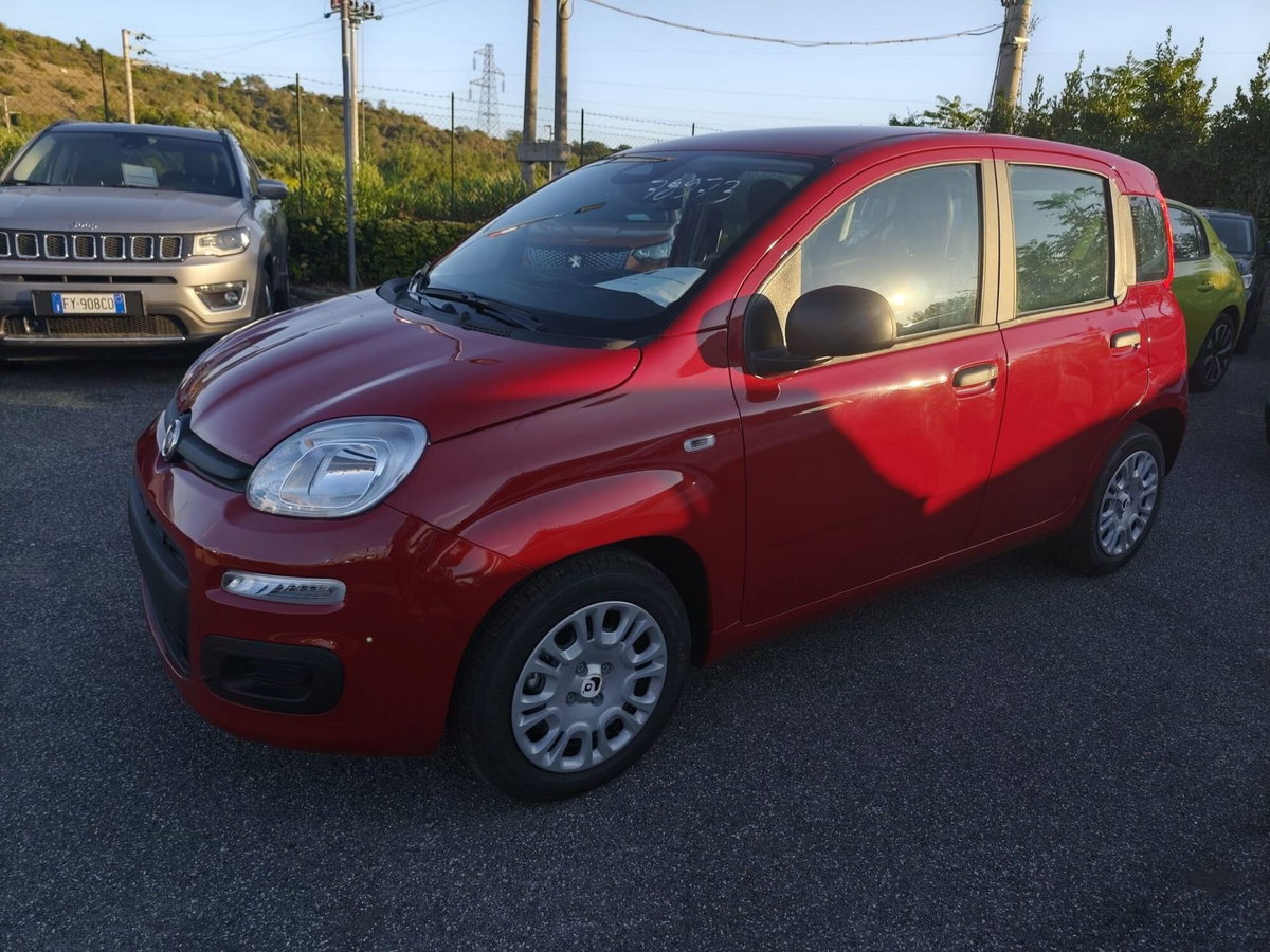 Fiat Panda Cross Cross 1.0 FireFly S&S Hybrid (2)