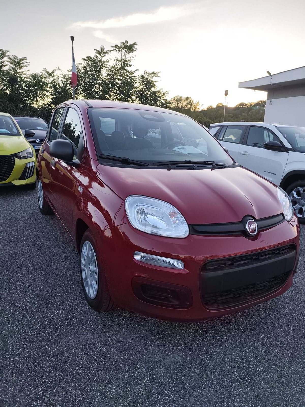 Fiat Panda Cross Cross 1.0 FireFly S&S Hybrid (3)