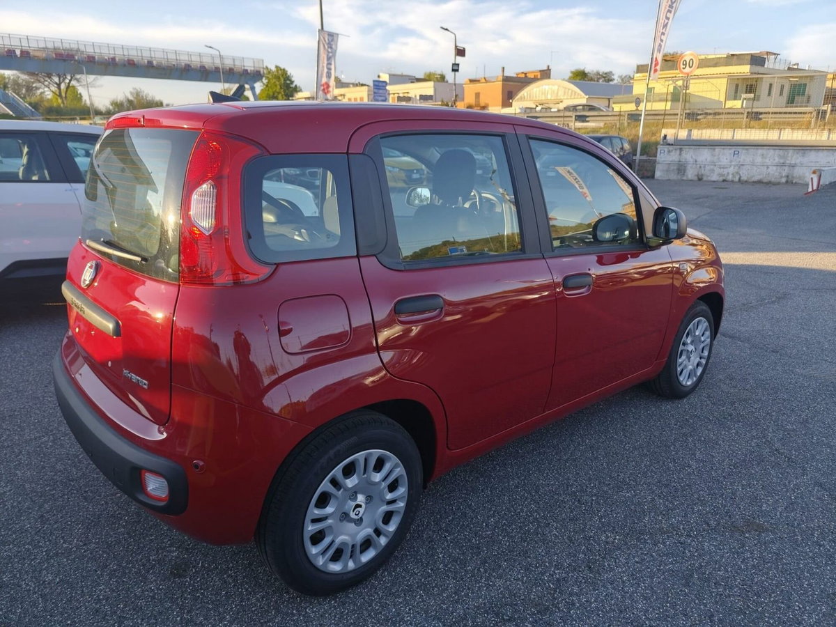 Fiat Panda Cross Cross 1.0 FireFly S&S Hybrid (4)