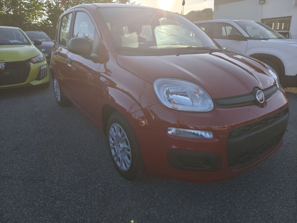 Fiat Panda Cross Cross 1.0 FireFly S&S Hybrid (6)