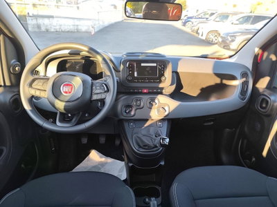 Fiat Panda Cross Cross 1.0 FireFly S&S Hybrid (7)