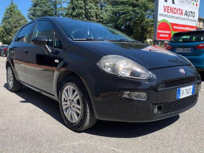 Fiat Punto 1.2 8V 5 porte Lounge usata