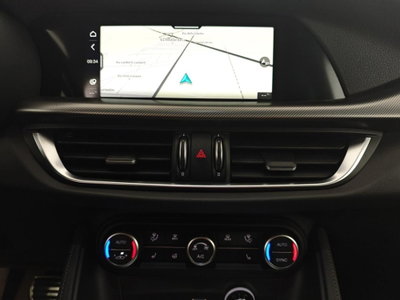 Alfa Romeo Stelvio Stelvio 2.2 Turbodiesel 210 CV AT8 Q4 Veloce Tì (13)
