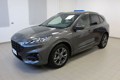 Ford Kuga 2.0 EcoBlue 120 CV aut. 2WD ST-Line X usata