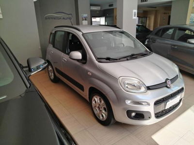 Fiat Panda 1.3 MJT 95 CV S&S Lounge usata