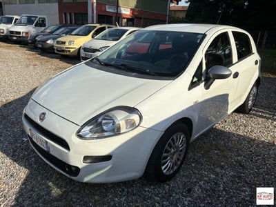 Fiat Punto 1.2 8V 5 porte Street usata