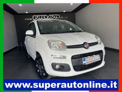 Fiat Panda 1.2 Easy usata