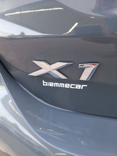 BMW X1 xDrive18d xLine Plus (8)