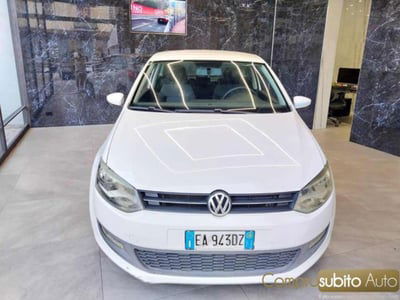 Volkswagen Polo 1.2 TDI DPF 3 porte Trendline usata