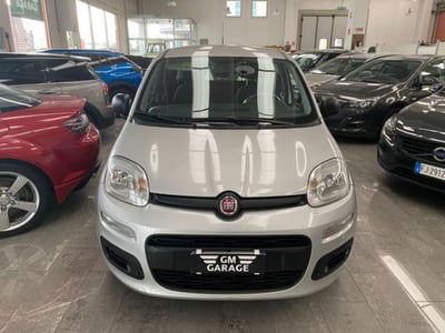 Fiat Panda 1.2 Pop usata