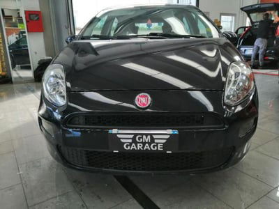 Fiat Punto 1.2 8V 5 porte Street usata