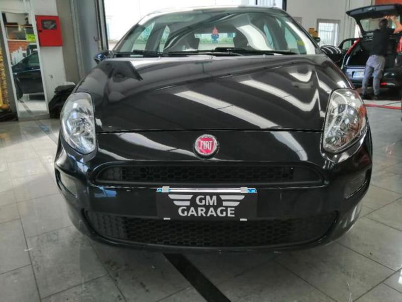 Fiat Punto 1.2 8V 5 porte Street