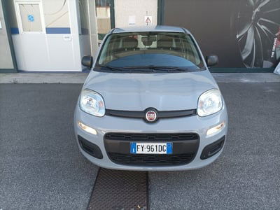 Fiat Panda 1.2 Easy usata